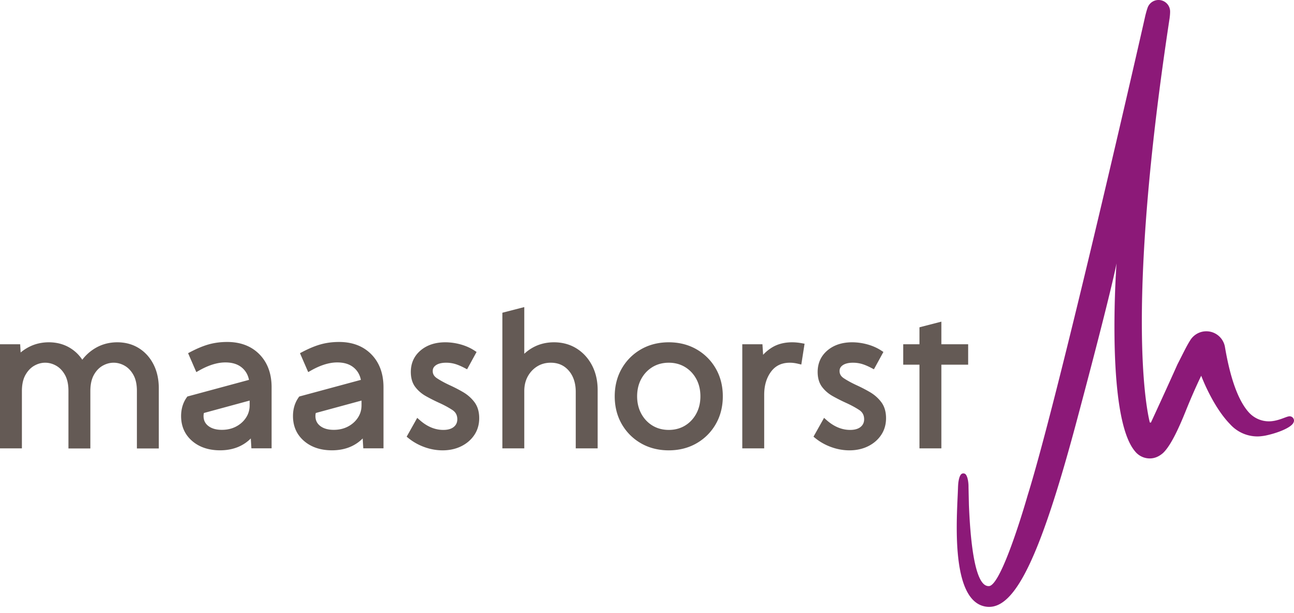 Gemeente Maashorst Logo